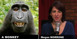 Comparison between Megan Morrone and a monkey.