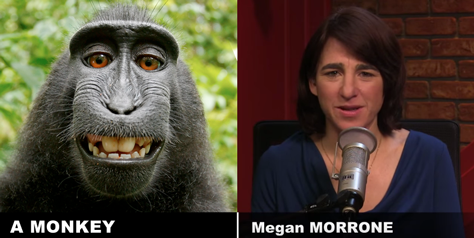 Comparison between Megan and a monkey.